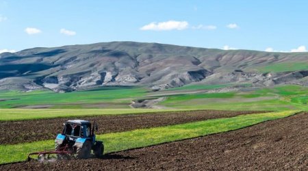 Ərzaq təhlükəsizliyi üçün aqrar sektora yeni nəfəsi necə vermək olar?! - AÇIQLAMA