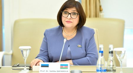 “Qarabağ və Şərqi Zəngəzur turizm üçün cəlbedici məkana çevrilib” – Sahibə Qafarova
