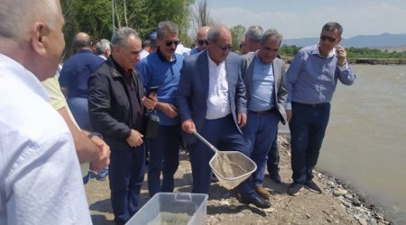 Partiya sədrləri Həkəri çayına balıq buraxdılar – FOTO