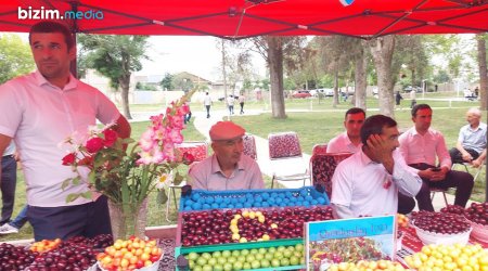 Xaçmazda ağız dada gətirən festival, 15-dən çox GİLAS NÖVÜ - FOTO