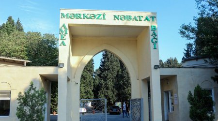 Baş nazirdən 