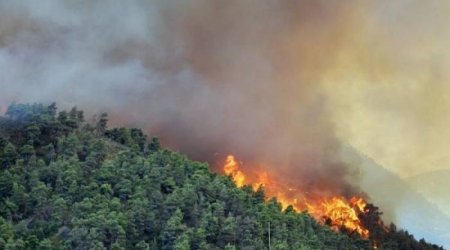İzmirdə meşə yanğınları söndürüldü - YENİLƏNİB