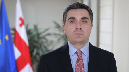 “Regionda sülh üçün birgə səylərimiz öz nəticəsini verəcək” - Gürcüstan XİN rəhbəri 