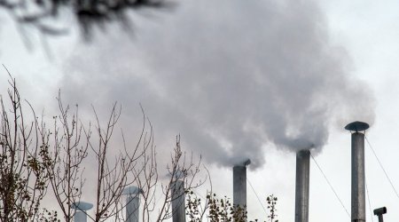 Atmosferi çirkləndirən şadlıq sarayları cərimələndi - SİYAHI