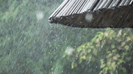 Küləkli hava sabah da davam edəcək