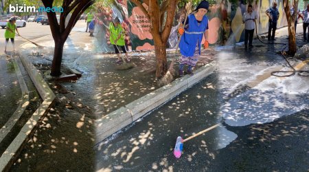 Tut ağaclarının çirkləndirdiyi küçələr yuyulmağa başlandı – Bizim.Media-ya REAKSİYA – FOTO/VİDEO