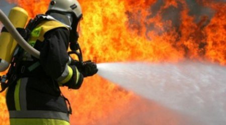 Şəmkirdə istixana YANDI