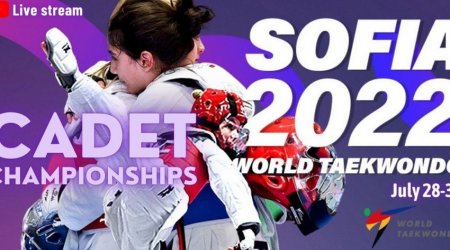 Azərbaycan taekvondoçuları dünya çempionatını 4 medalla başa vurdular