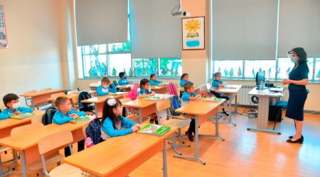 Lisey və gimnaziyalara SƏNƏD QƏBULU başladı