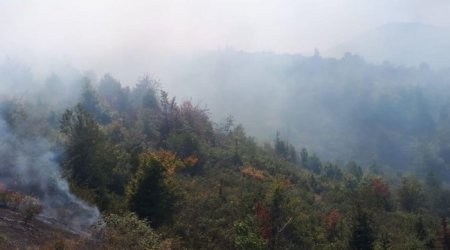 Qusarda meşə zolağı yaxınlığında YANĞIN