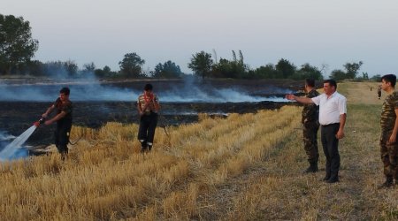 Quba və Xaçmazda da yanğınlar baş verdi - VİDEO