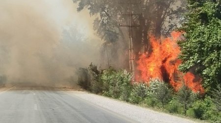 Şabranda yanğın genişlənib – İnsanlar ərazidən köçürülür – YENİLƏNİB - FOTO/VİDEO