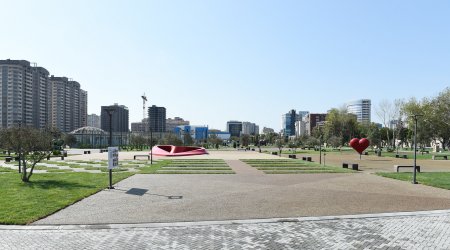 Bakıda tanışını öldürən gənc MƏHKƏMƏ QARŞISINDA  