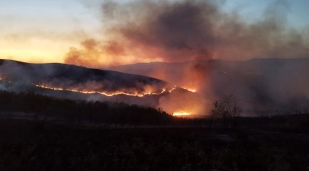 Şamaxıdakı yanğın söndürüldü