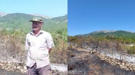 İsmayıllıda qəsdən yanğın törətmə faktının üstü AÇILDI - RƏSMİ/VİDEO