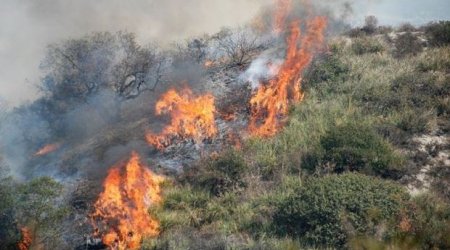 Qəbələdə dağlıq ərazidə yanğın başladı, helikopter cəlb olundu - RƏSMİ 