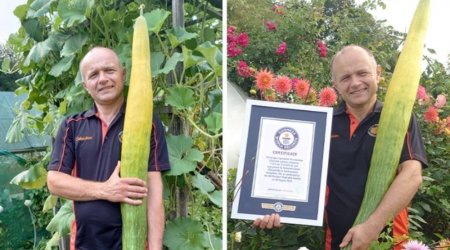 Dünyanın ən uzun xiyarı ilə rekordlar kitabına düşdü - FOTO