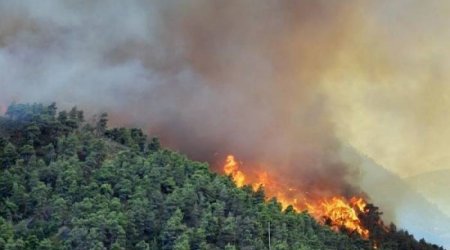 Şabrandakı meşə yanğını davam edir - BÖLGƏDƏN SON MƏLUMAT