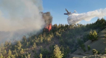 Zaqatalada yanğınla bağlı SON MƏLUMAT – FOTO/VİDEO