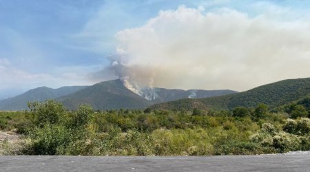 Şəkinin bu kəndində yanğını söndürmək mümkün olmur – EKSKLÜZİV – FOTO/VİDEO