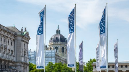 Sərhəddəki gərginliklə bağlı ATƏT Daimi Şurasının iclası çağırıldı