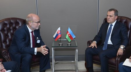 Ceyhun Bayramov slovakiyalı həmkarı ilə görüşdü - FOTO