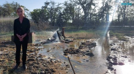 Kükürdlü su meşə zolağını yandırmaqda davam edir – Hadisə yerindən Aytəkin Alxaslının VİDEOMATERİALI