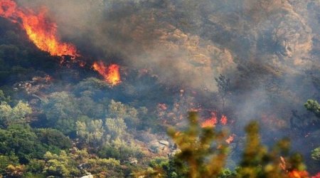 Xızıdakı yanğınla bağlı RƏSMİ AÇIQLAMA  