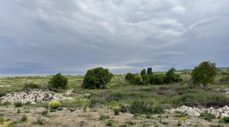 Füzuli Mərkəzi Parkının torpaq nümunələri Türkiyədə analizdən keçiriləcək - FOTO