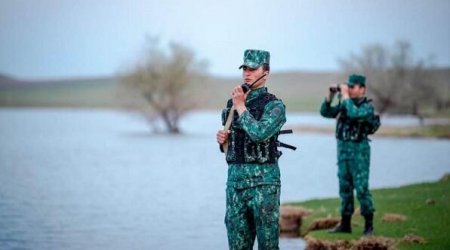 Dövlət sərhədini pozan 8 nəfər saxlanılıb - FOTO
