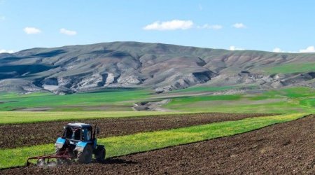 Kiçik fermerlər təsərrüfatlarını sığortalamaqdan niyə qaçırlar? – Ekspertin ŞƏRHİ