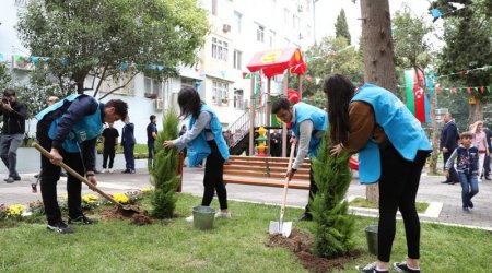 Bakıda daha bir həyət abadlaşdırıldı - FOTO