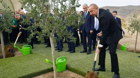 Azərbaycan və Türkiyə prezidentləri Cəbrayılda ağac əkiblər