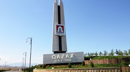 Qazaxda nə baş verir? – Son üç ayda 700 nəfəri it dişləyib