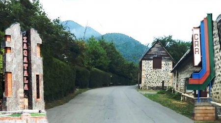 Zaqatalada şabalıd yığımı başa çatır - Kənd sakinlərindən özəl AÇIQLAMA - FOTO