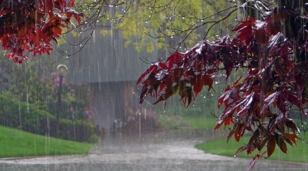 XƏBƏRDARLIQ: Hava qeyri-sabit keçəcək - Yağış yağacaq