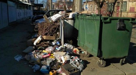 Bölgələr ZİBİLDƏN boğulur – ÇIXIŞ YOLU nədir?