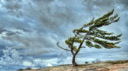 XƏBƏRDARLIQ: Sabah Bakıda temperatur aşağı enəcək, güclü külək əsəcək