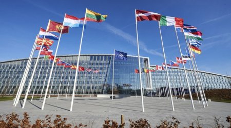 Azərbaycan Silahlı Qüvvələri peşəkarlıq nümayiş etdirir - NATO