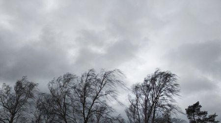 Azərbaycanda təbiət hadisələri ilə bağlı erkən xəbərdarlıq SİSTEMİ YARADILIR