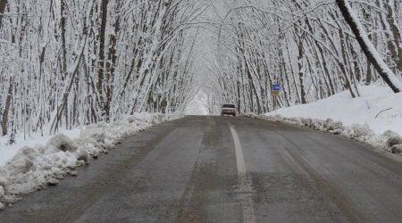 Azərbaycanlı iş adamının oğlunun Kürdəmirdə FACİƏLİ ÖLÜMÜ