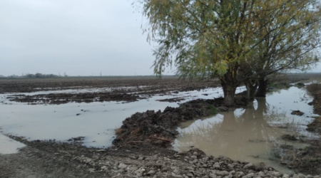 Tərtərdə kanal DAŞIB: Həyətləri və əkin sahələrini su basıb - FOTO