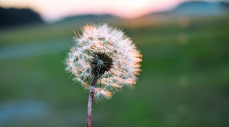 İstirahət günlərində gözlənilən hava şəraiti açıqlanıb