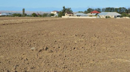Azərbaycanda 12 min hektardan artıq torpaq sahəsi MÜSADİRƏ EDİLDİ - SƏBƏB 