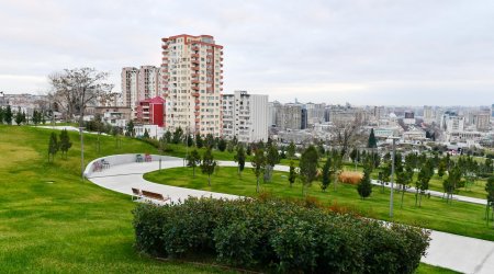 Bakının Mərkəzi Parkından FOTOREPORTAJ