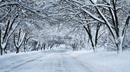 Yanvarın 7-dən hava şəraiti kəskin DƏYİŞƏCƏK – Qar YAĞACAQ