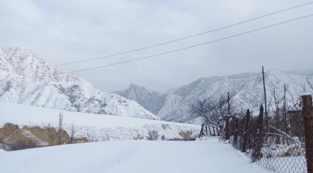 Ən çox şaxta Qubanın Qrız kəndində qeydə alınıb - ÖZƏL - FOTO
