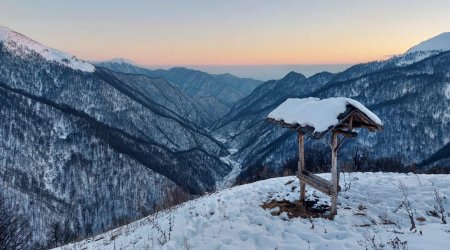 Qarlı havada heyvanlar və quşlar yemləndi – FOTO