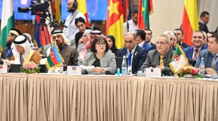 Sahibə Qafarova: “Səfirliyimizdə törədilən terrora görə bütün məsuliyyət İranın üzərinə düşür