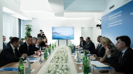 Azərbaycan-Gürcüstan-Rumıniya-Macarıstan İşçi Qrupu YARADILDI